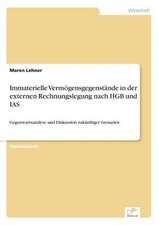 Immaterielle Vermogensgegenstande in Der Externen Rechnungslegung Nach Hgb Und IAS: Konflikte Losen Mit Mediation