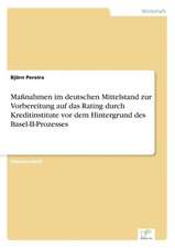 Massnahmen Im Deutschen Mittelstand Zur Vorbereitung Auf Das Rating Durch Kreditinstitute VOR Dem Hintergrund Des Basel-II-Prozesses