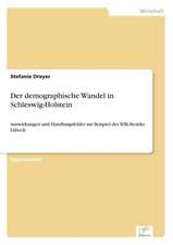 Der Demographische Wandel in Schleswig-Holstein: Strong in Theory But Struggling in Practice