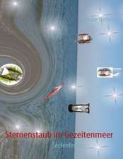 Sternenstaub im Gezeitenmeer