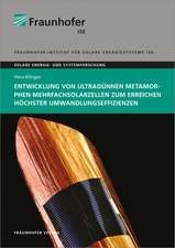 Entwicklung von ultradünnen metamorphen Mehrfachsolarzellen zum Erreichen höchster Umwandlungseffizienzen