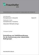 Entwicklung von Sodalithmembranen für die Gastrennung unter industriellen Bedingungen