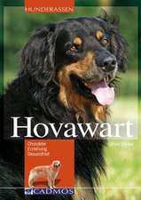 Hovawart