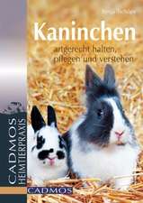 Kaninchen