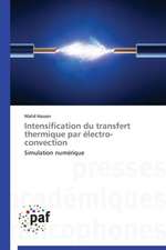 Intensification du transfert thermique par électro-convection