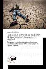 Péjoration climatique au Bénin et dégradation du couvert végétal