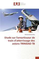 Etude Sur L'Amortisseur de Train D'Atterrissage Des Avions Trinidad Tb: Balzac Flaubert & Stendhal Demiurges Du Xixe