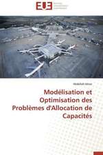 Modélisation et Optimisation des Problèmes d'Allocation de Capacités