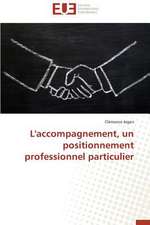 L'Accompagnement, Un Positionnement Professionnel Particulier