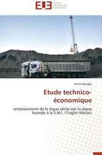 Etude Technico-Economique: Mauritanie-Israel