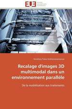 Recalage D'Images 3D Multimodal Dans Un Environnement Parallele: Analyse Du Roman Et Du Film