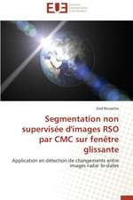 Segmentation Non Supervisee D'Images Rso Par CMC Sur Fenetre Glissante: Analyse Du Roman Et Du Film