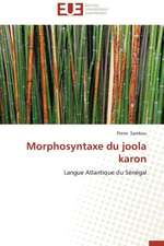 Morphosyntaxe Du Joola Karon: Theories Et Pratiques