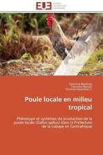 Poule Locale En Milieu Tropical: Analyse Des Actions Du Cilss Au Burkina Faso