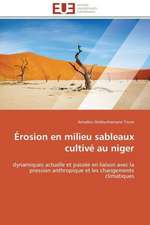 Erosion En Milieu Sableaux Cultive Au Niger: Un Paysage Culturel a Valoriser