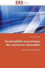 Soutenabilite Economique Des Ressources Epuisables: Marches Emergents