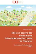 Mise En Oeuvre Des Instruments Internationaux Des Droits de L'Homme: Elaboration de Thermistances Ctn