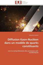 Diffusion Kaon-Nucleon Dans Un Modele de Quarks Constituants: Apports D'Une Analyse Multidisciplinaire