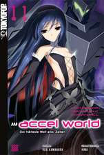 Accel World - Novel 11