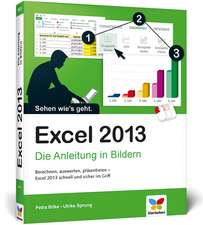 Excel 2013