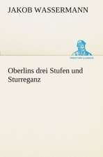 Oberlins Drei Stufen Und Sturreganz: Erzahlung in Neun Briefen