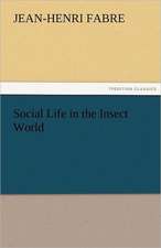 Social Life in the Insect World