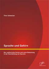 Sprache Und Gehirn: Der Auditorische Kortex Und Seine Bedeutung in Der Verarbeitung Von Sprache