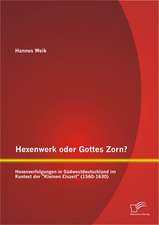 Hexenwerk Oder Gottes Zorn? Hexenverfolgungen in Sudwestdeutschland Im Kontext Der 