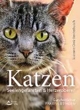 Katzen - Seelengefährten & Herzeroberer