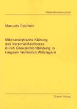 Mikroanalytische Klärung des Verschleißschutzes durch Grenzschichtbildung in langsam laufenden Wälzlagern