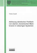 Ablösung abiotischer Partikeln von starren, keramischen Membranen in wässrigen Systemen