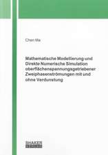 Mathematische Modellierung und Direkte Numerische Simulation oberflächenspannungsgetriebener Zweiphasenströmungen mit und ohne Verdunstung