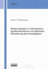 Elektromigration in bikristallinen Ag-Nanostrukturen mit definierter Orientierung des Kristallgitters