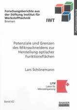 Potenziale und Grenzen des Mikroschneidens zur Herstellung optischer Funktionsflächen