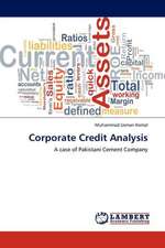 Corporate Credit Analysis