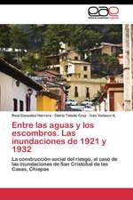 Entre las aguas y los escombros. Las inundaciones de 1921 y 1932