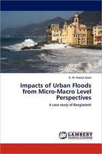 Impacts of Urban Floods from Micro-Macro Level Perspectives