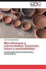 Microfinanzas y Microcreditos. Evolucion, Futuro y Sostenibilidad