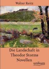 Die Landschaft in Theodor Storms Novellen