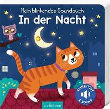 Mein blinkendes Soundbuch - In der Nacht