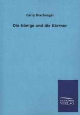 Die Konige Und Die Karrner: La Nueva Cultura del Reciclaje