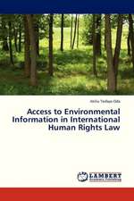 Access to Environmental Information in International Human Rights Law