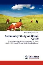 Preliminary Study on Boran Cattle