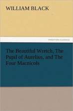 The Beautiful Wretch, the Pupil of Aurelius, and the Four Macnicols: The United Lutheran Church (General Synod, General Council, United Synod in the South)