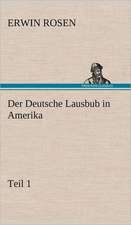 Der Deutsche Lausbub in Amerika - Teil 1