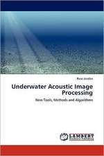 Underwater Acoustic Image Processing