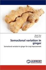 Somaclonal variation in ginger