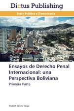 Ensayos de Derecho Penal Internacional: una Perspectiva Boliviana