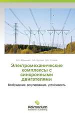 Elektromekhanicheskie kompleksy s sinkhronnymi dvigatelyami