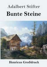 Bunte Steine (Großdruck)